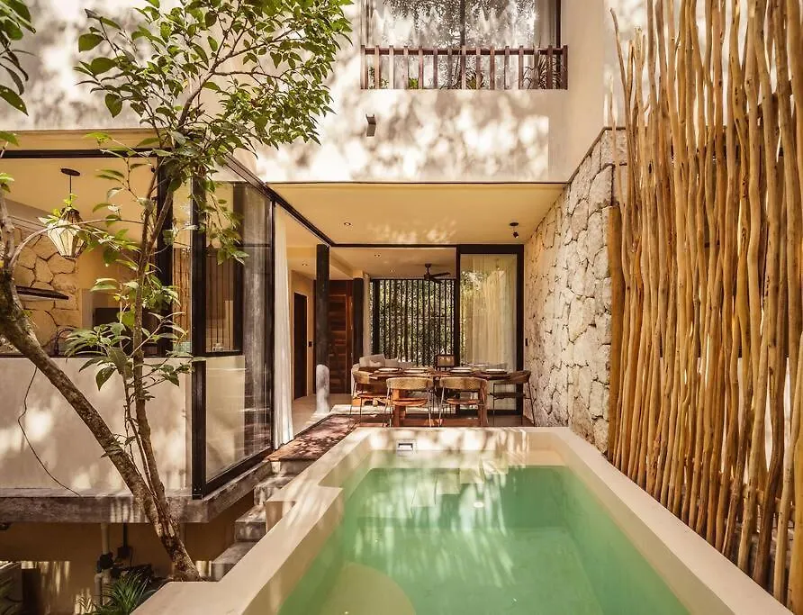Afra 5 Jungle House With Pool Apartamento Tulum