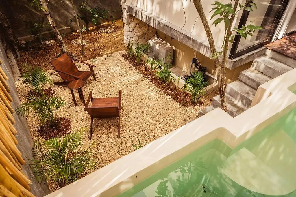 Afra 5 Jungle House With Pool Apartamento Tulum México