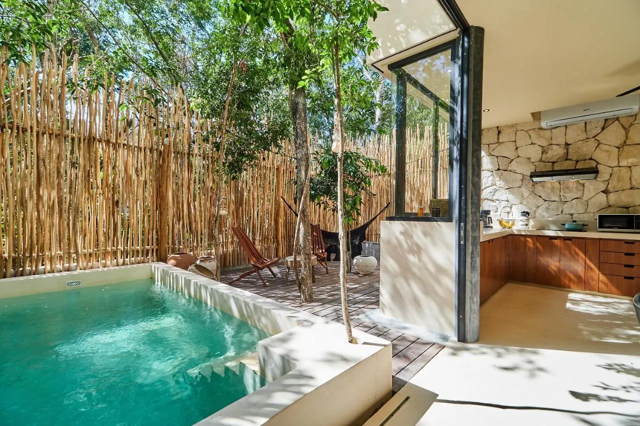 Afra 5 Jungle House With Pool Apartamento Tulum