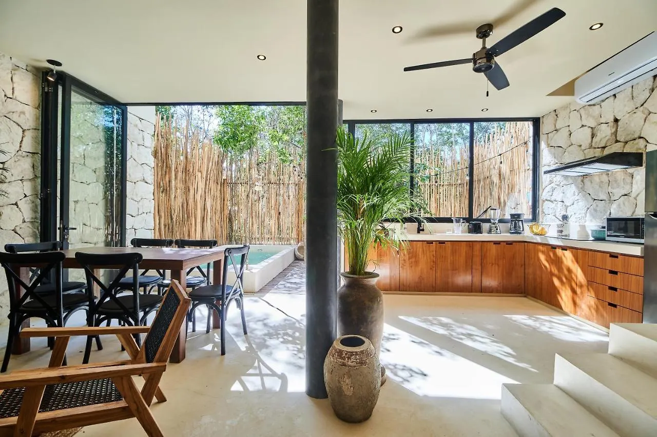 Afra 5 Jungle House With Pool Apartamento Tulum