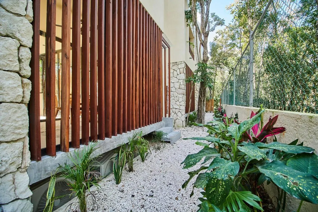 Afra 5 Jungle House With Pool Apartment Tulum Mexico