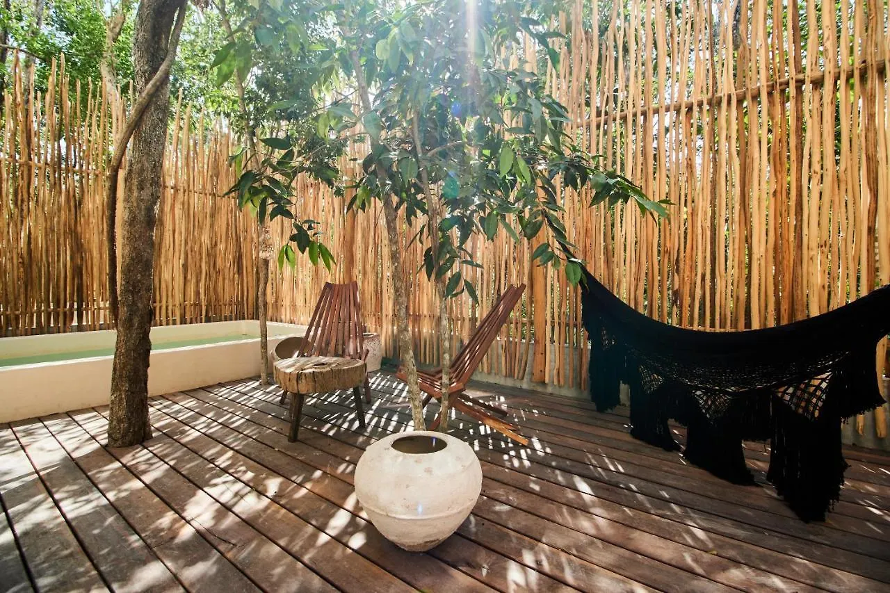 Afra 5 Jungle House With Pool Apartment Tulum